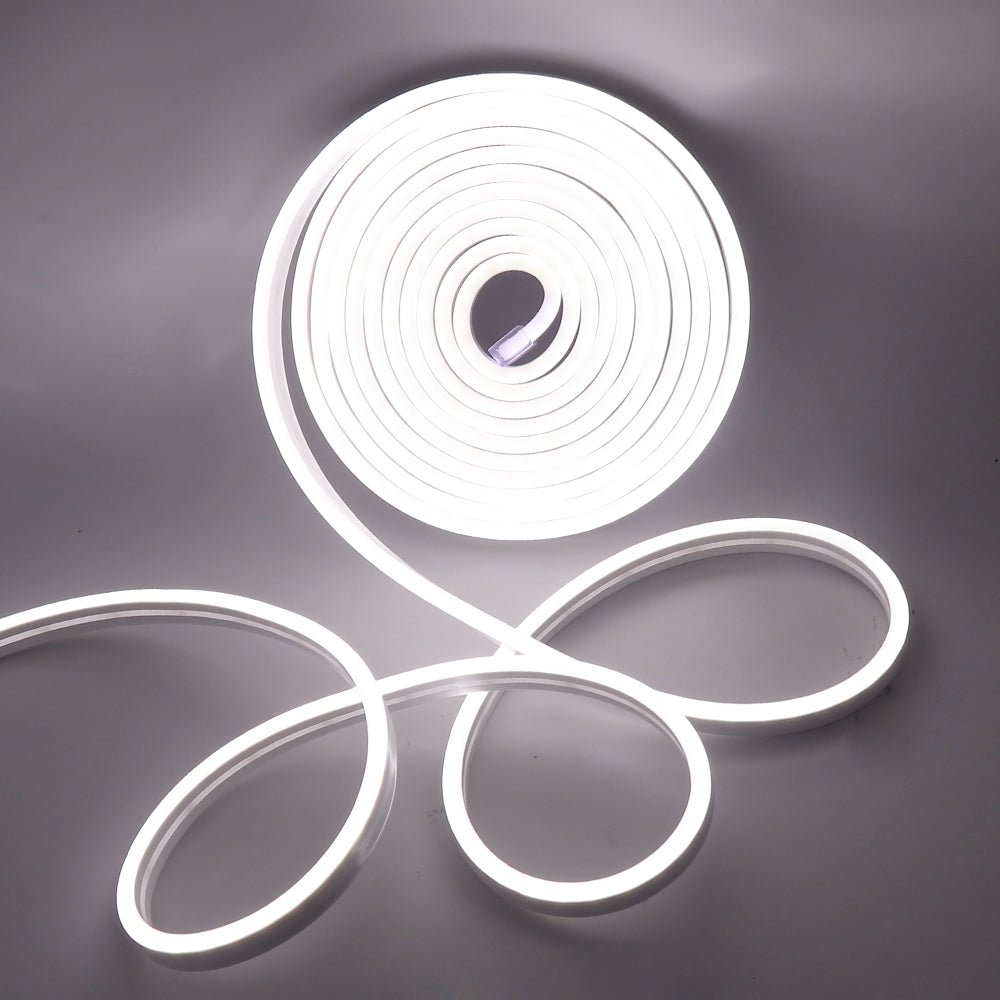 neon led blanc froid