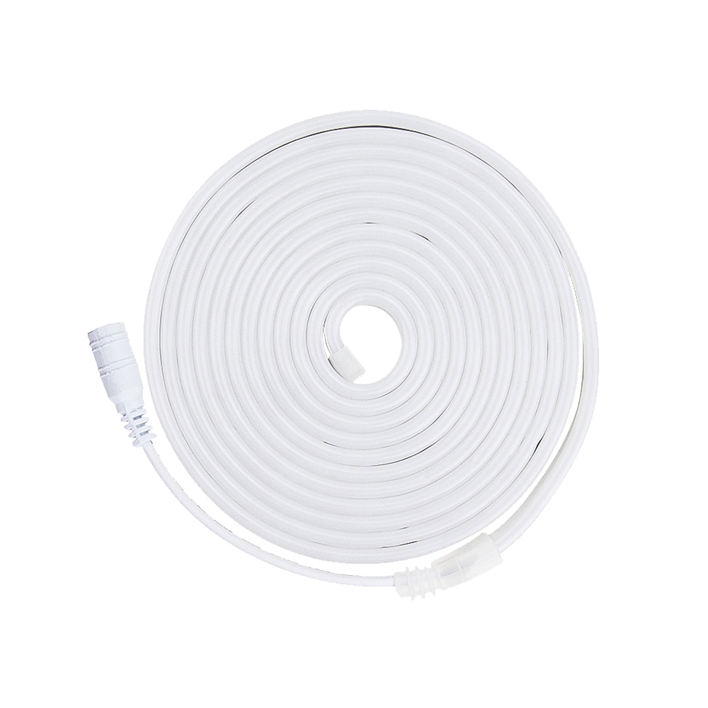 Néon LED Blanc Froid