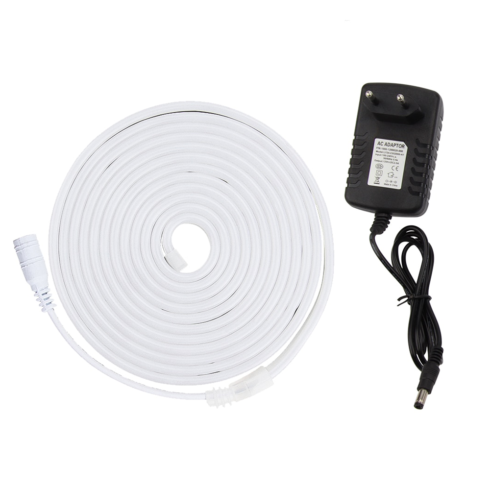 Néon LED Blanc Froid