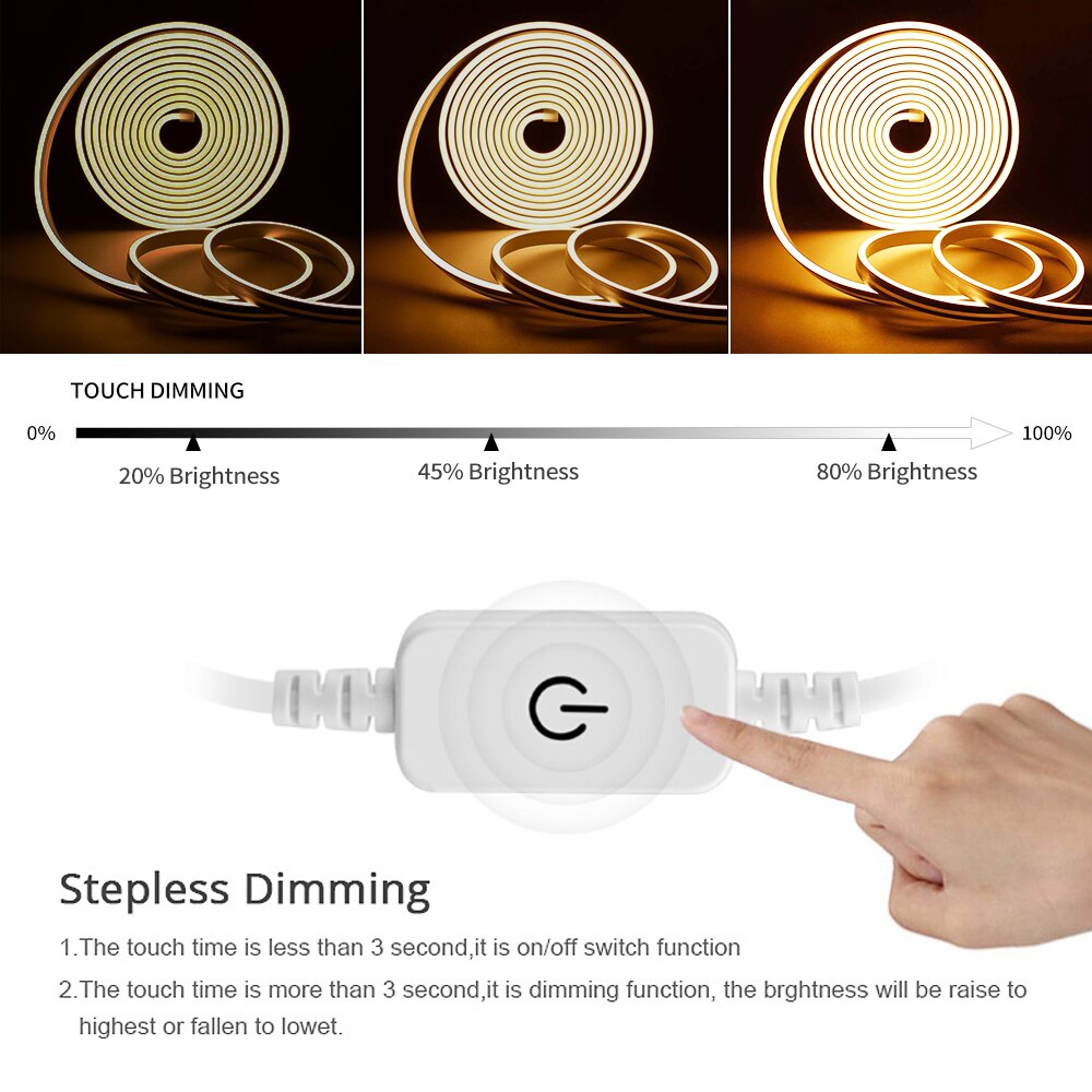 Néon LED Blanc Froid