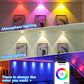 Spot LED Couleur